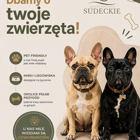 Parkowy Apartament Wałbrzych